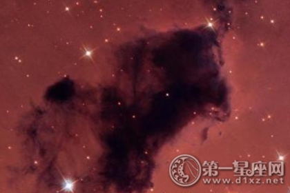 星座知識