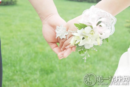 大林木和平地木能結婚嗎