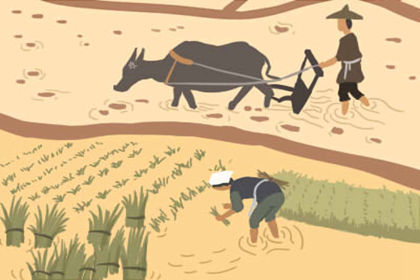 戌土代表行業是什麽 戌土人適合什麽行業