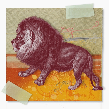 獅子座如何理財