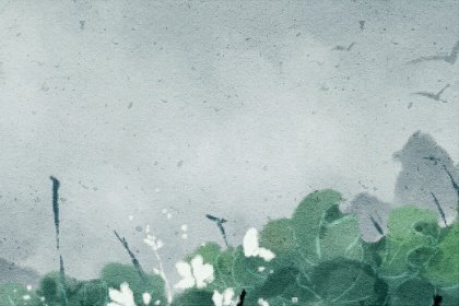 怎麽增加桃花運風水   可擺放玉玲瓏旺桃花