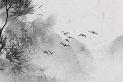 魚缸正對入戶門圖片圖解風水好不好  可生你財旺你財