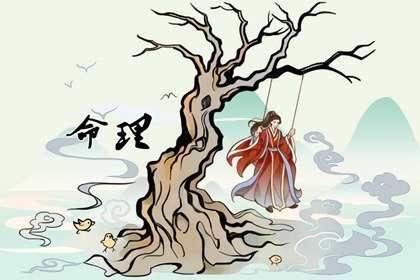 四兩五錢女命慘不慘 內心善良易受摧殘