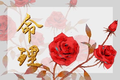 女命4兩4此命格的人  苦求一生終是徒勞