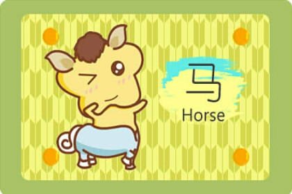 屬馬的出生年份表  今年已經多少歲了呢