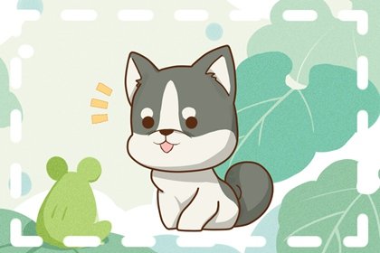 82年屬狗2024正緣桃花生肖 默契排擋鼠豬猴