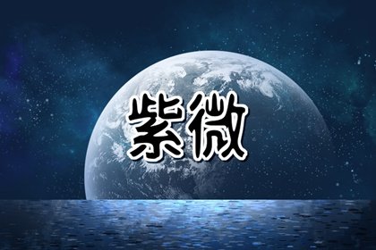 天同太陰星在子午宮坐命好嗎 天同太陰在子宮代表什麽