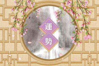 蘇珊米勒 今日星座運勢查詢11.10