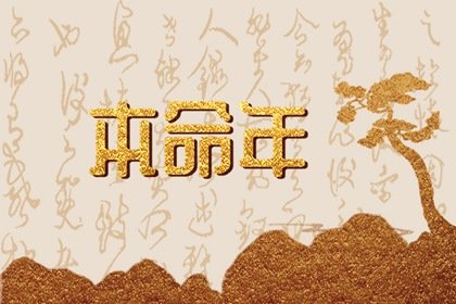 屬龍人本命年運勢 事業矛盾財運縮減