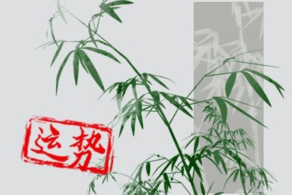 蘇珊米勒 今日星座運勢查詢12.20