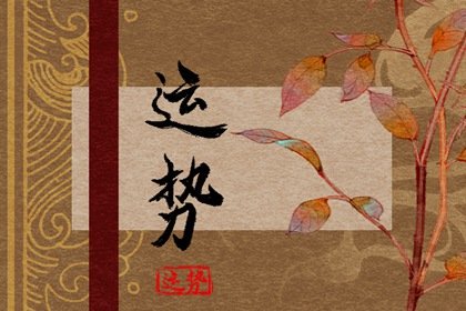 蘇珊米勒 今日星座運勢查詢12.26