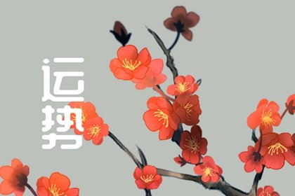 靜電魚 雙魚座星運詳解【週運12月25日-12月31日】