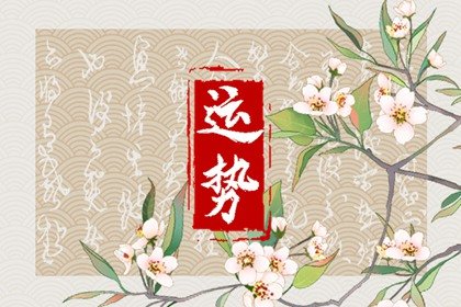 屬兔2024年有大喜纏身 事業旺盛感情幸福?