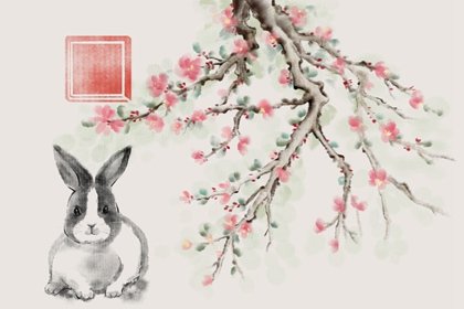 屬兔2024年春節有沒有偏財運 有外財嗎