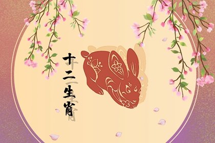 屬兔人：今年穿這四個顏色衣服“最旺財運”！