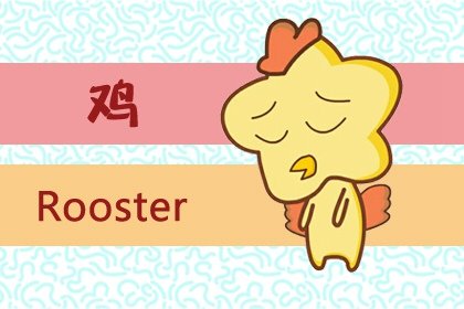 屬雞的人接近這三個生肖的人，會一年比一年有錢