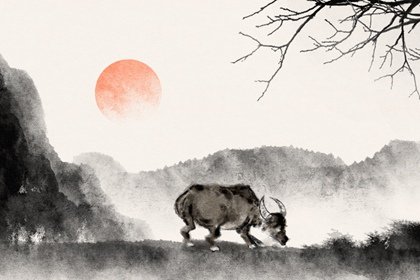 1973屬牛終身最旺數字 幸運顏色和禁忌數字