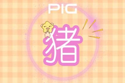 屬豬 屬豬