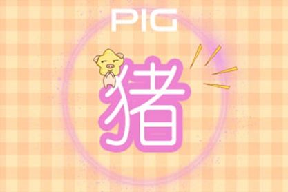 屬豬 屬豬