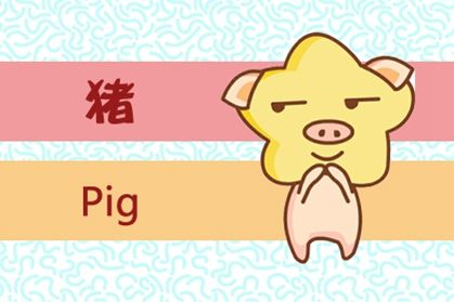 豬 豬