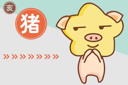 豬 豬