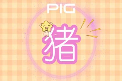 豬 豬