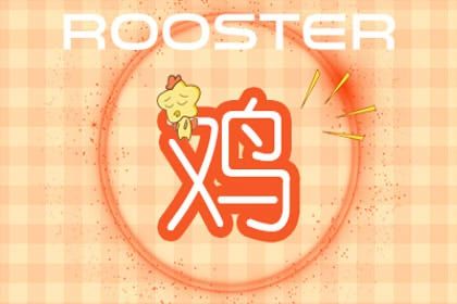 雞 雞