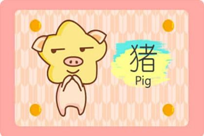 豬 豬