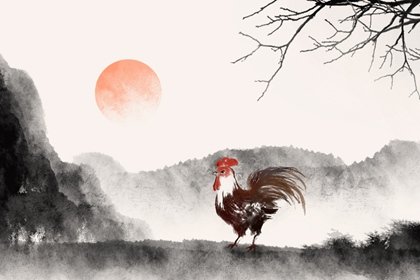 雞6 雞6