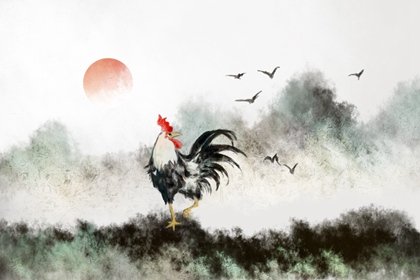 雞2 雞2