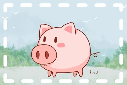 屬豬的人2021年下半年適合懷孕生孩子嗎