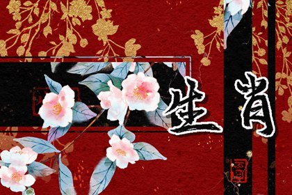 生肖牛:桃花劫要出現的徵兆 生肖牛:桃花劫要出現的徵兆