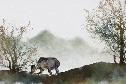 1973年51歲的屬牛的2024年感情婚姻勢 暗藏危機